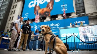 A dog sits in front of the New York Stock Exchange during Chewy Inc.’s initial public offering, June 14, 2019.