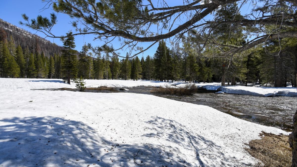 Sierra snowpack expected to decline in the future - Vimarsana News