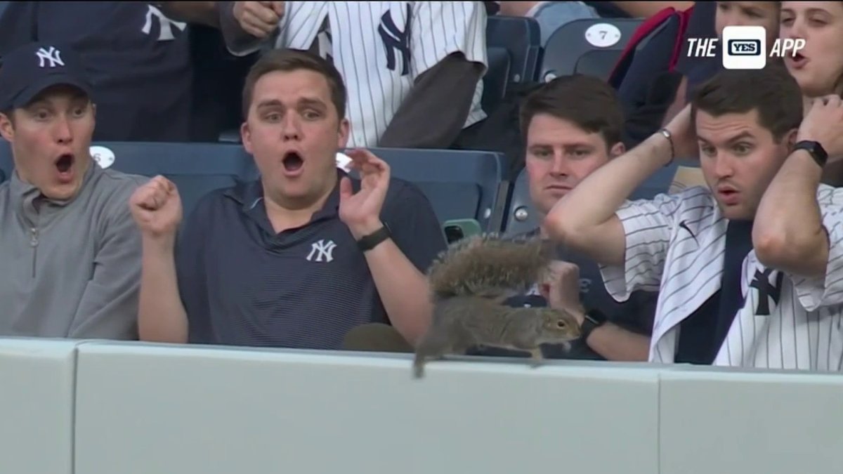 Young Phillies Fan Goes Viral After Giving Foul Ball To Crying