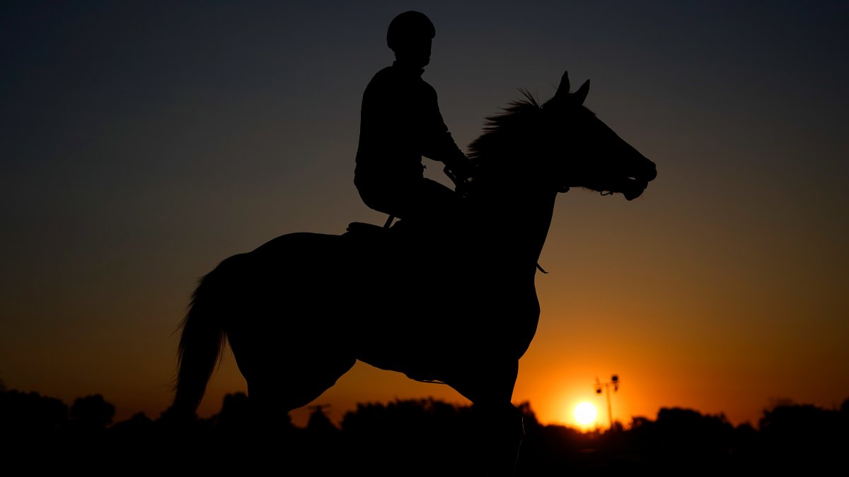 2023 Preakness Day Arrives With Horse Racing in Spotlight, Preakness