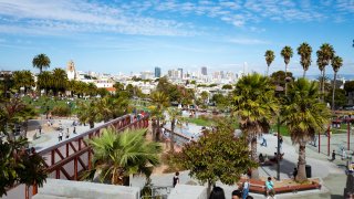 Dolores Park.