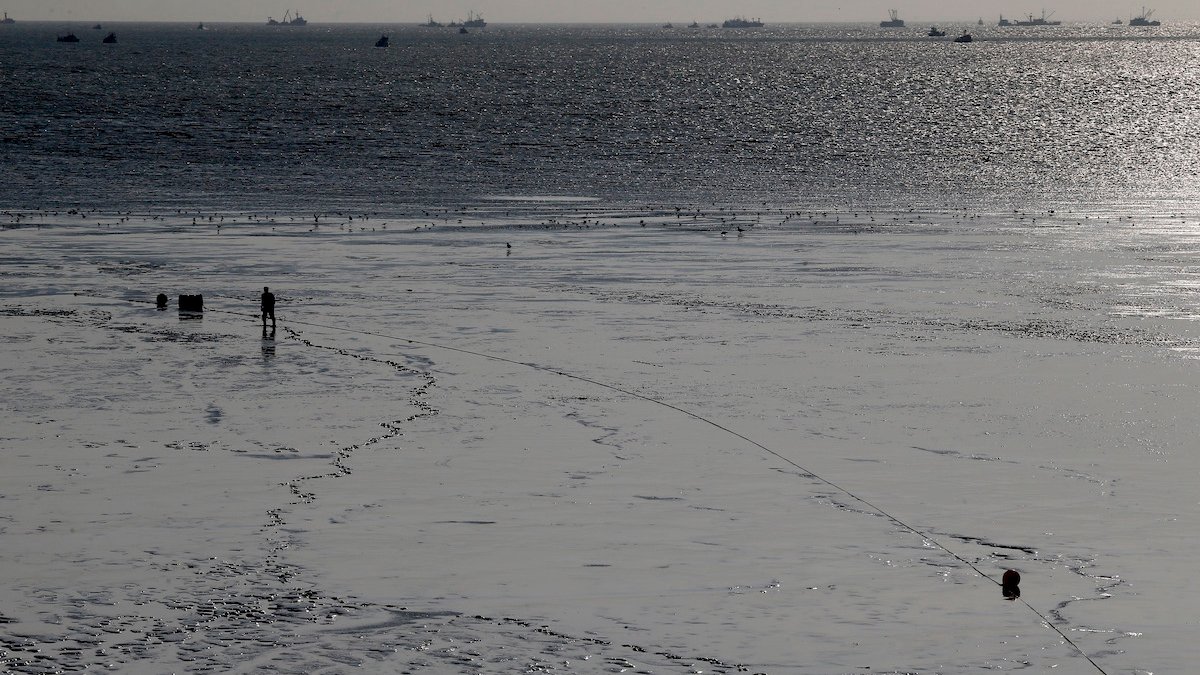 Illinois Man Gets Stuck Waist-Deep in Alaska Mud Flats, Drowns as Tide Comes in – NBC Bay Area - Vimarsana News