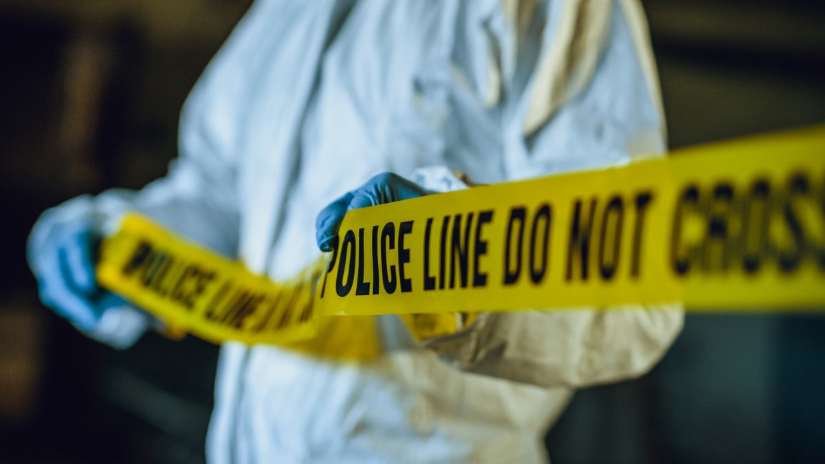 Compton man killed in pit bull attack – NBC Bay Area - Vimarsana News