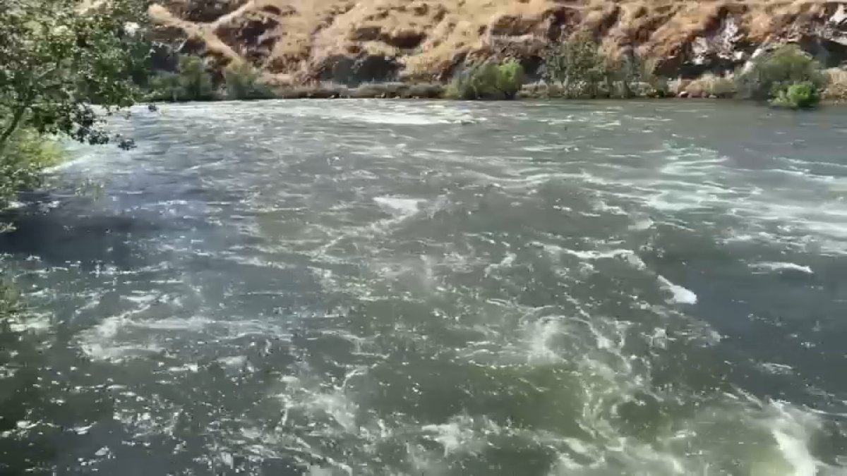 Search Ongoing for Boy, 4, After Sister, 8, Dies in California River Closed After Storms - Vimarsana News