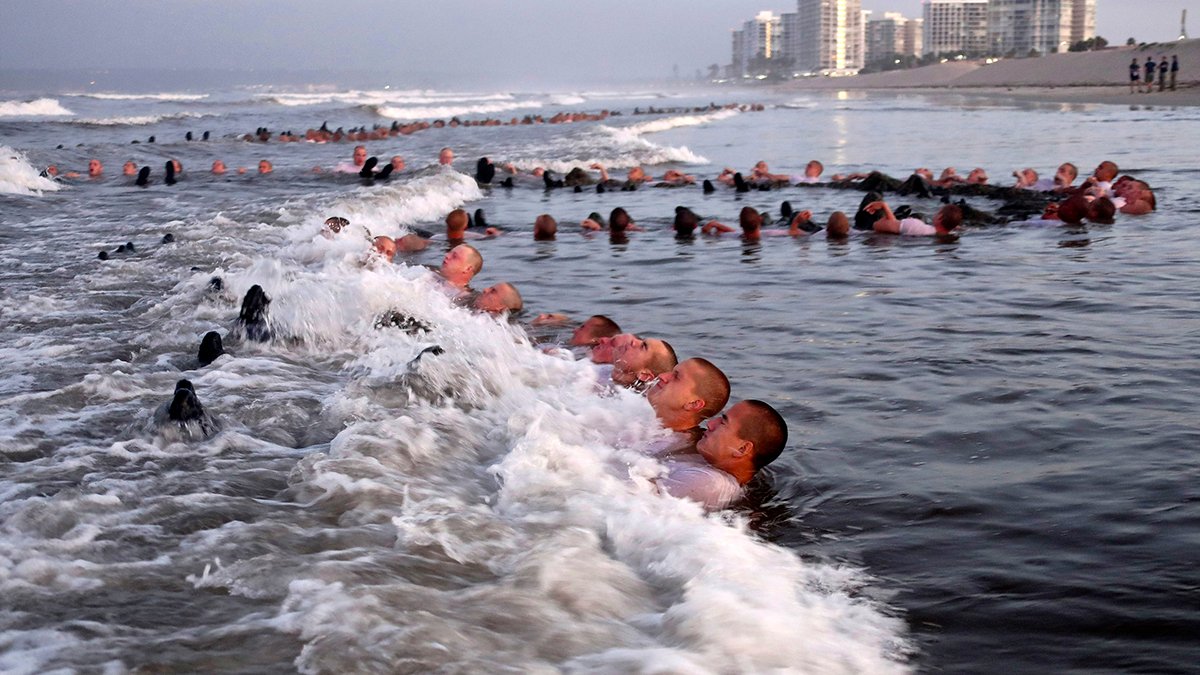 SEALs Training Plagued by Pervasive Problems, Navy Finds – NBC Bay Area - Vimarsana News