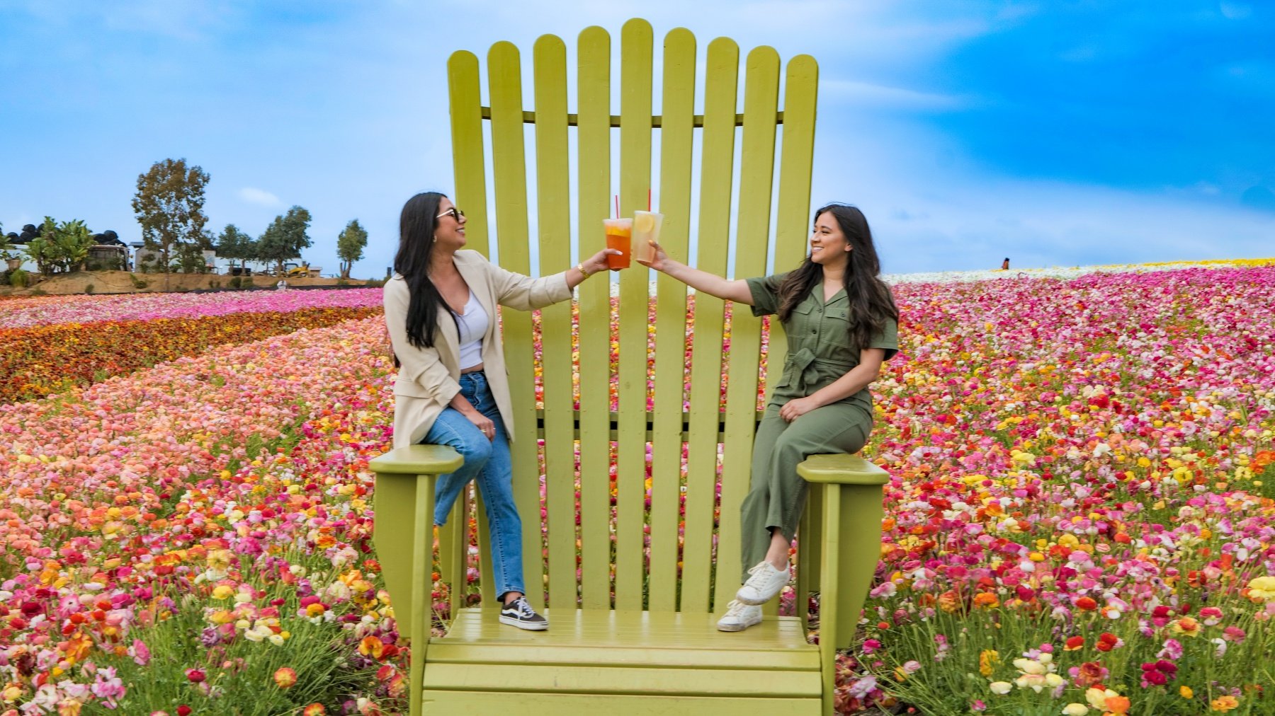 Cheers to a (Slightly) Longer Season at The Flower Fields - Vimarsana News
