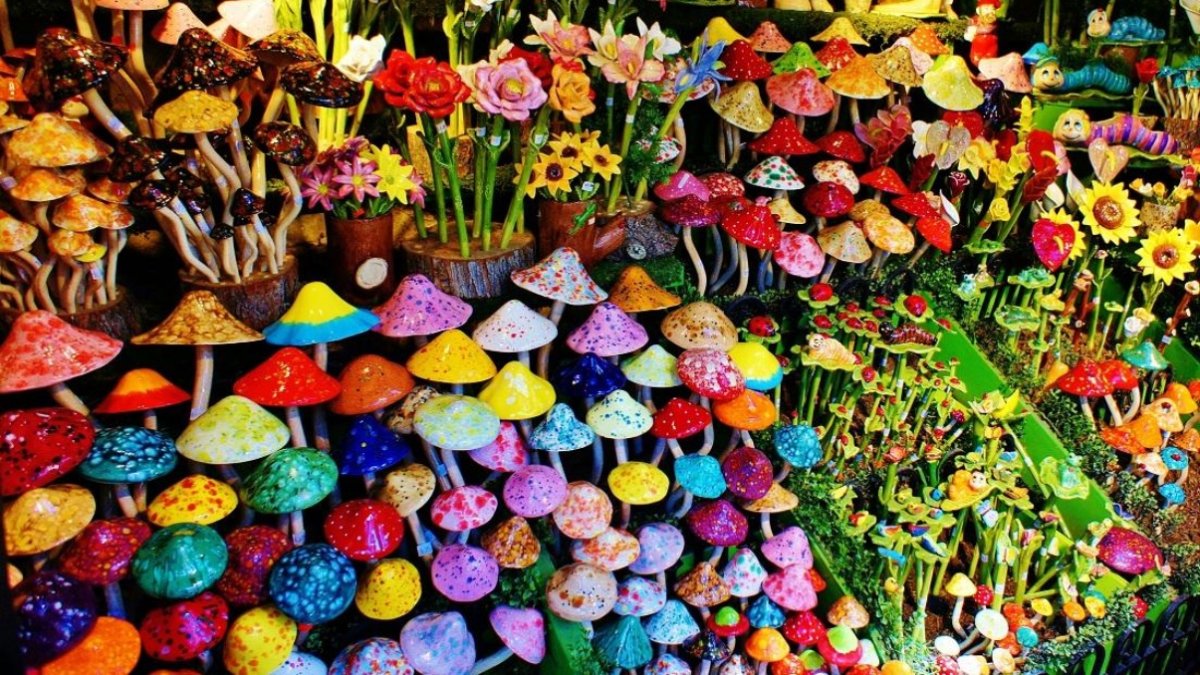 An Outdoor Art Fantasia Will Soon Sprout in Laguna Beach – NBC Bay Area - Vimarsana News