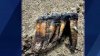 Woman Walking on Santa Cruz County Beach Finds Ancient Mastodon Tooth