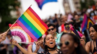 Members and allies of the LGBTQ community participate in the Pride Walk.