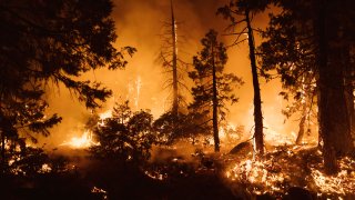 COLFAX, CA – SEPTEMBER 14: Trees burn during the Mosquito Fire on September 14, 2022 in Foresthill, California. The Mosquito fire has became California’s largest wildfire of the year. (Photo by Eric Thayer/Getty Images)