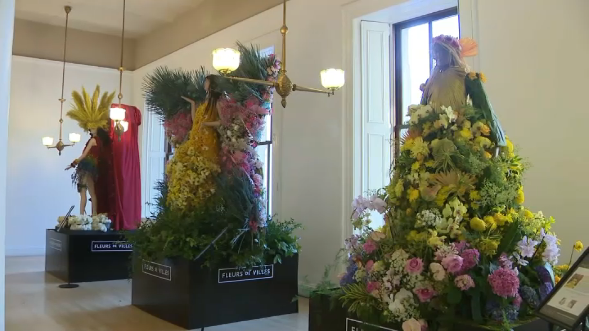 Flower show celebrates Pride in San Francisco NBC Bay Area