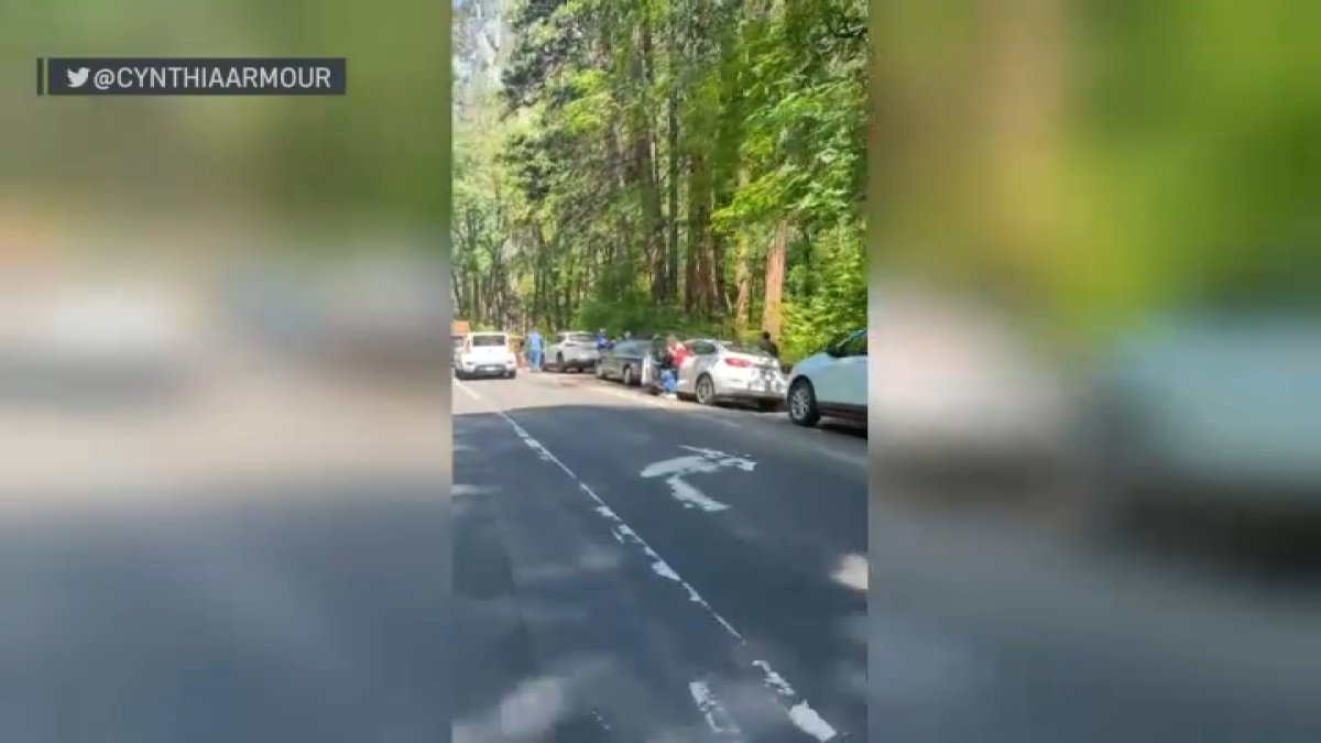 Yosemite National Park looking for new way to manage crowds NBC Bay Area