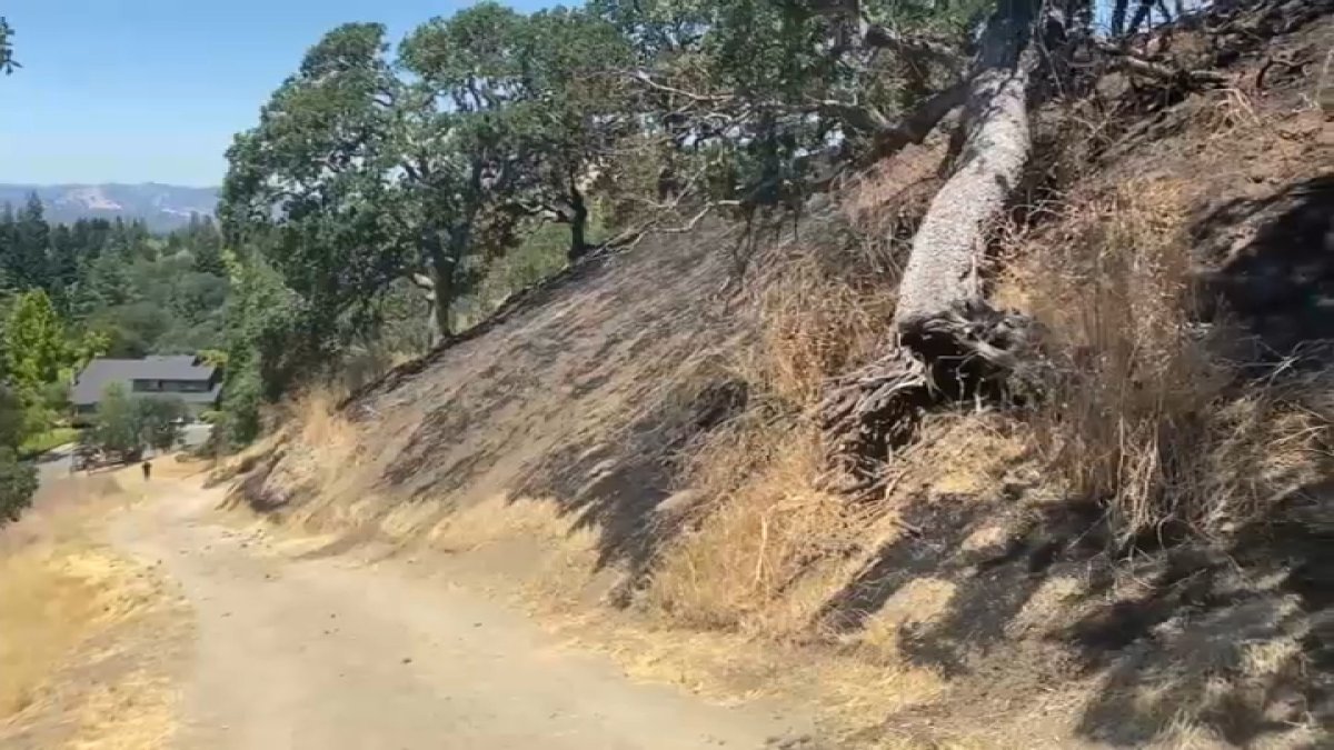 East Bay fire district responds to over 60 Fourth of July fires NBC