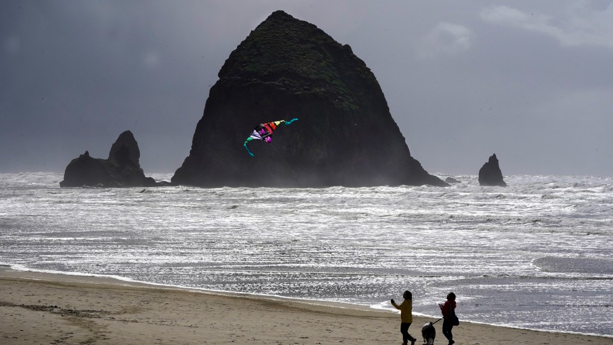 Oregon's Cannon Beach reopens after cougar sighting – NBC Bay Area - Vimarsana News