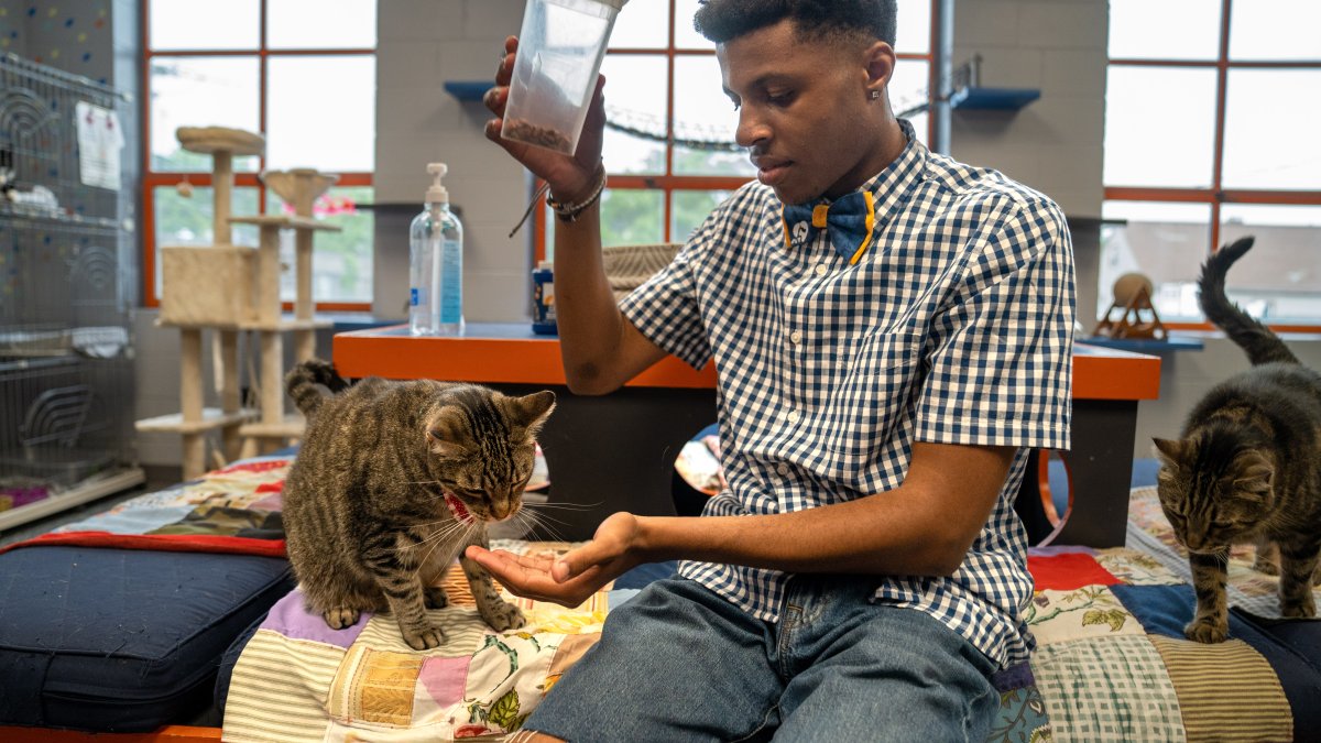 Teen's mission is to save shelter animals one bow tie at a time – NBC Bay Area - Vimarsana News