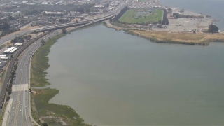 Shoreline in the Albany area.