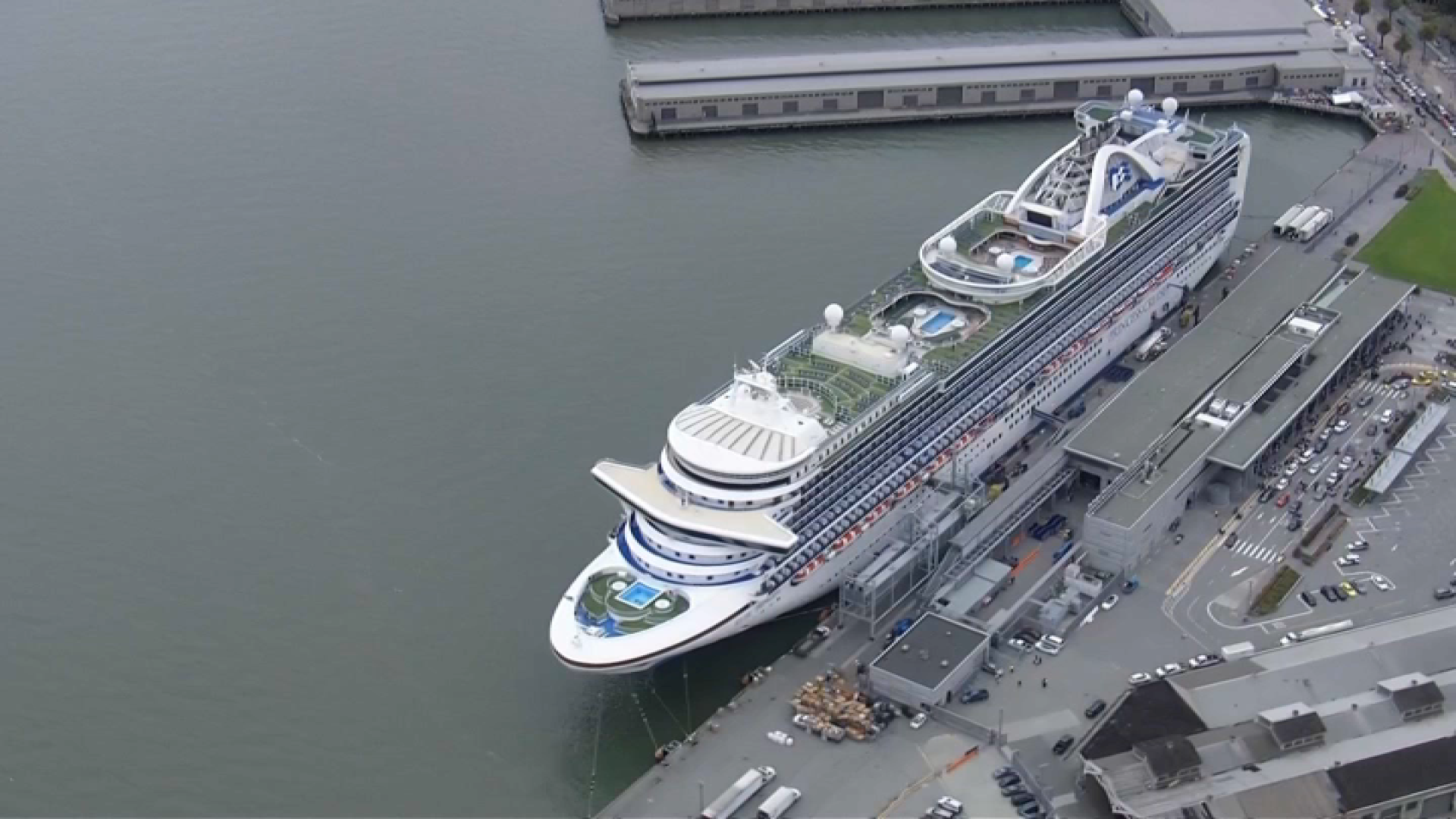 princess cruise hits dock