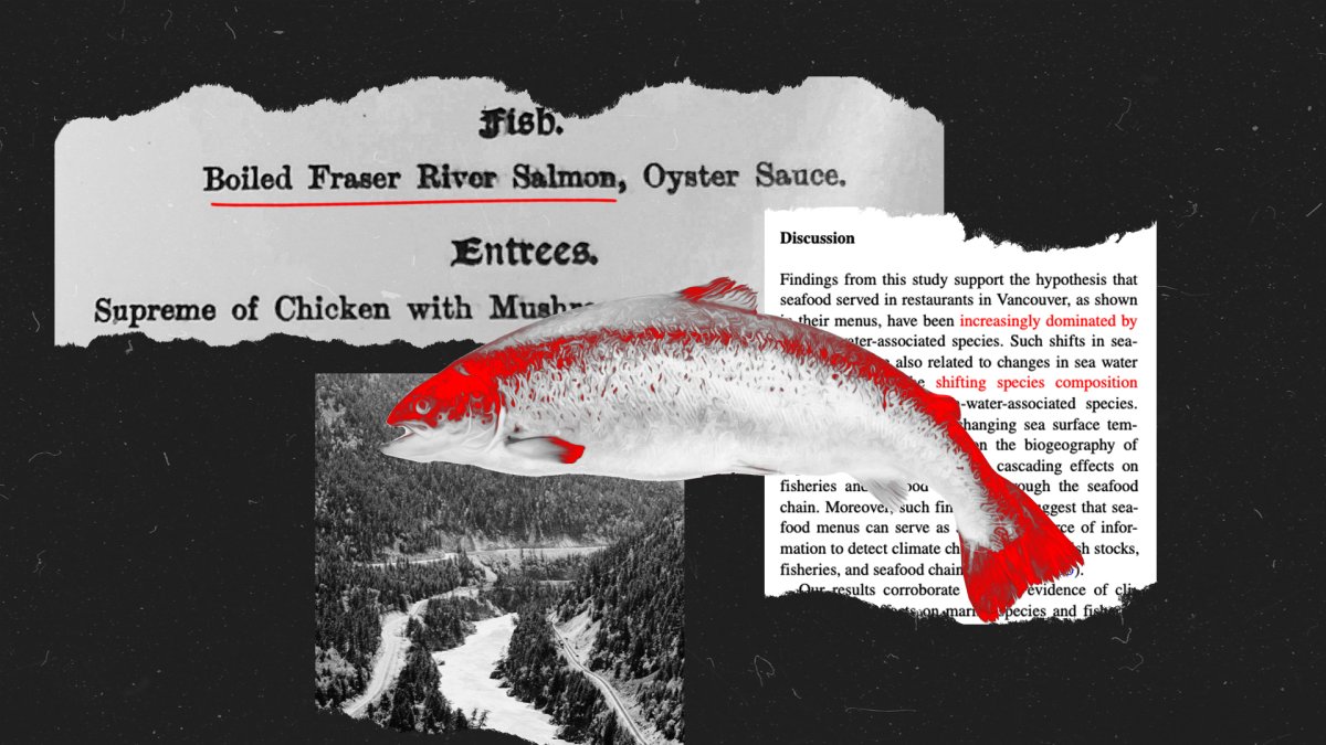 How warming temperatures change seafood dishes on menus – NBC Bay Area - Vimarsana News