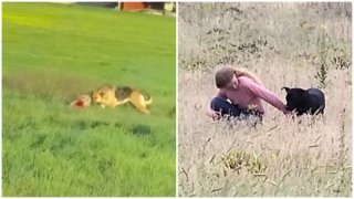 In 2016, 6-year-old Meghan Topping succeeded in rescuing a runaway dog when no adult could. In 2023, she is at it again. Garvin Thomas reports.