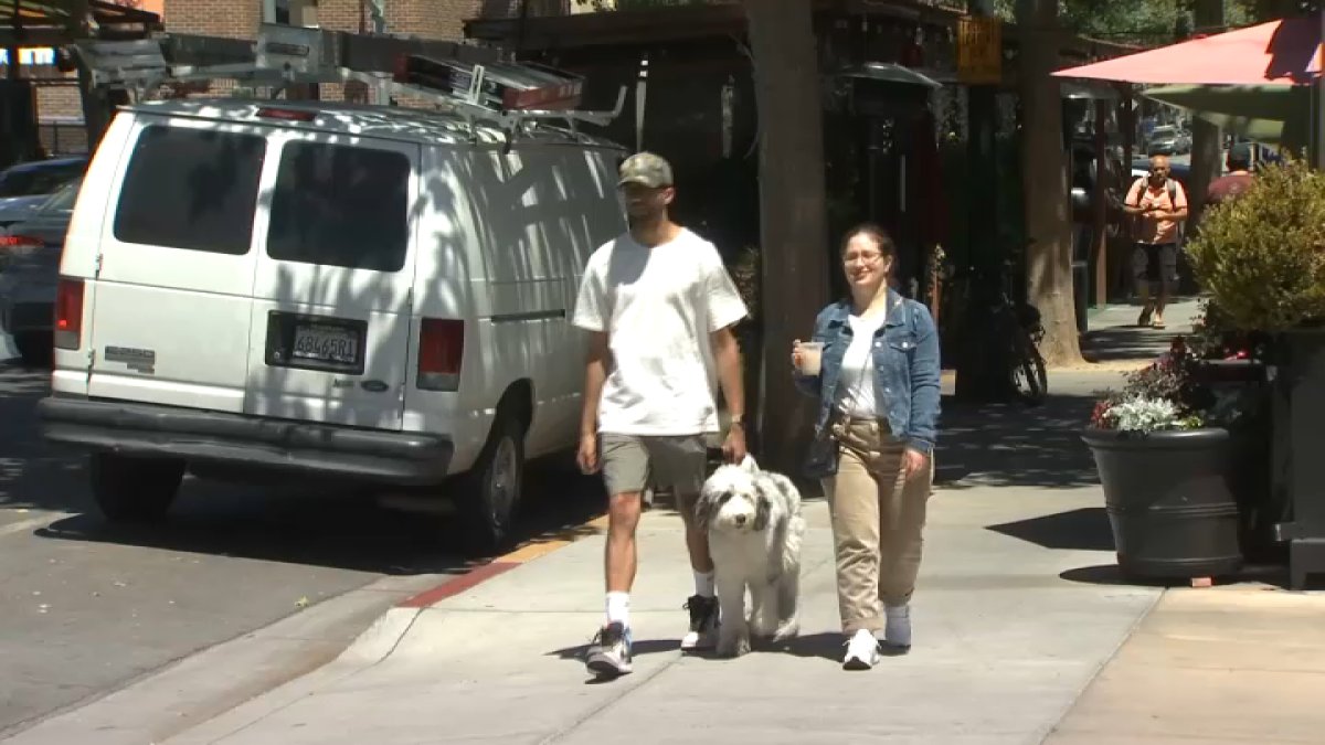 Here's why Millennials are struggling to afford houses in the Bay Area – NBC Bay Area - Vimarsana News