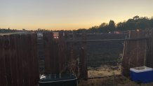 The view from Evelyn Dunn's backyard in Vallejo where firefighters had to break through her fence to battle a blaze in the nearby field. NBC Bay Area Photo/ Alyssa Goard.