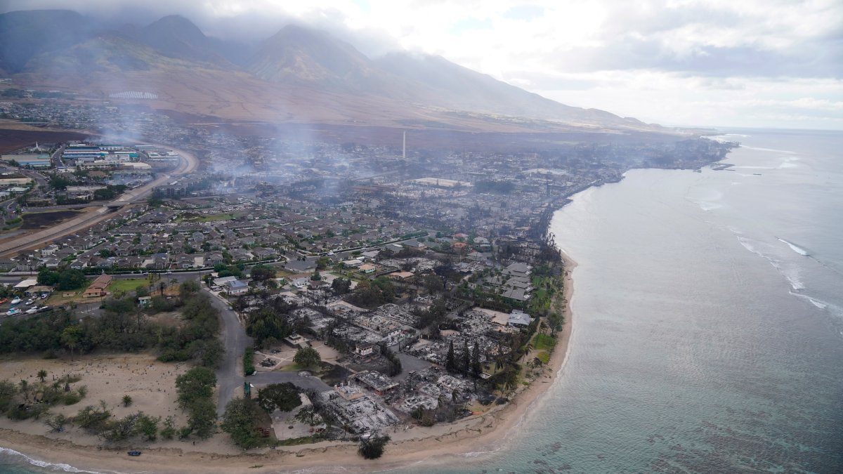 Hawaii wildfires could change state’s environment NBC Bay Area