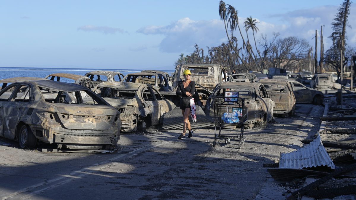 Maui wildfire victims receive help from Paradise fire survivors