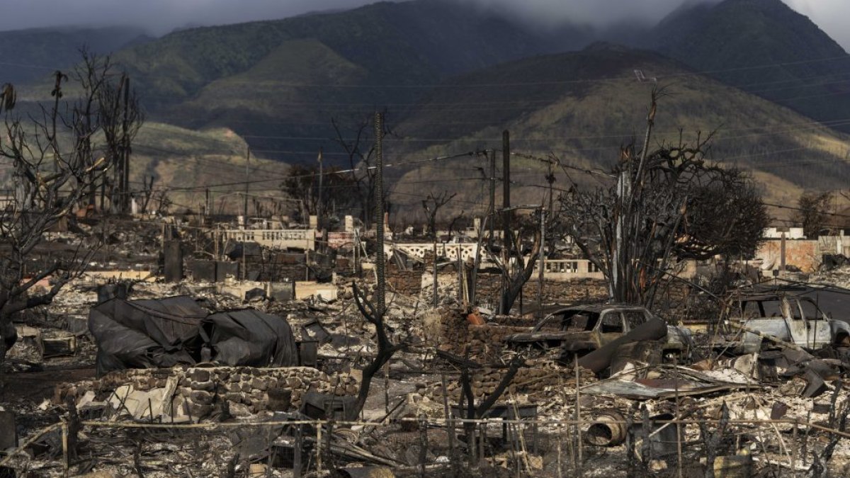 Maui wildfires: Some missing people found after Hawaii officials release list – NBC Bay Area - Vimarsana News