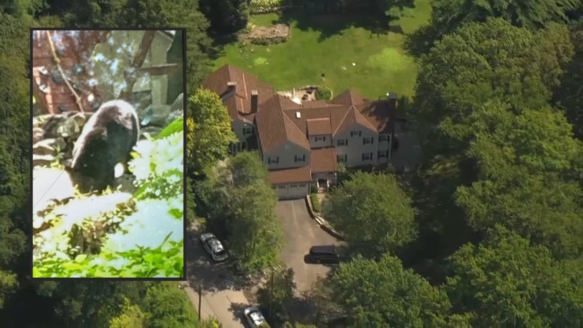 North Castle bear attack: Child hurt outside Bedford, NY home – NBC Bay Area - Vimarsana News