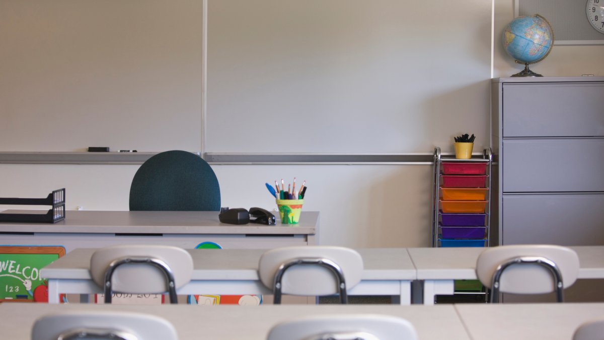 Georgia school district fires teacher for reading gender fluidity book to student – NBC Bay Area - Vimarsana News