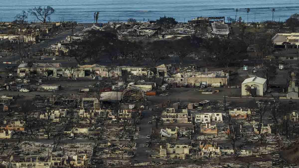 Hawaii wildfire evacuees moving out of shelters and into hotels – NBC Bay Area