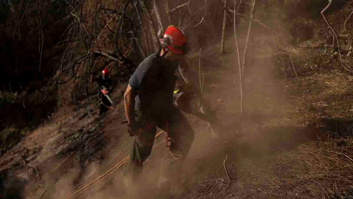Maui wildfire survivors face power cuts and poor cell service amid ongoing search efforts – NBC Bay Area - Vimarsana News