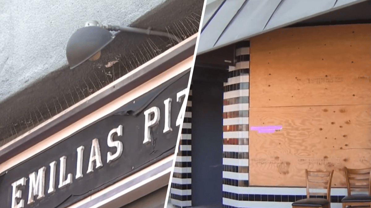 Berkeley pizza shop cleaning up after being hit by vandals - Vimarsana News