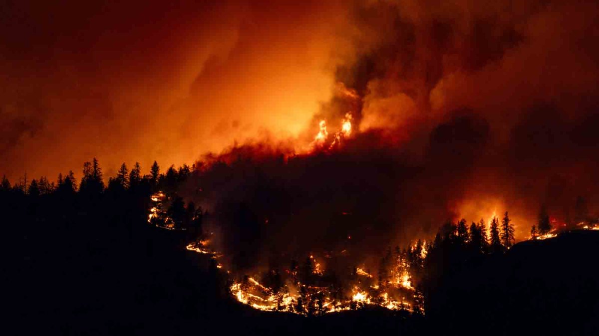 Canadian firefighters battling wildfires to save communities – NBC Bay Area - Vimarsana News