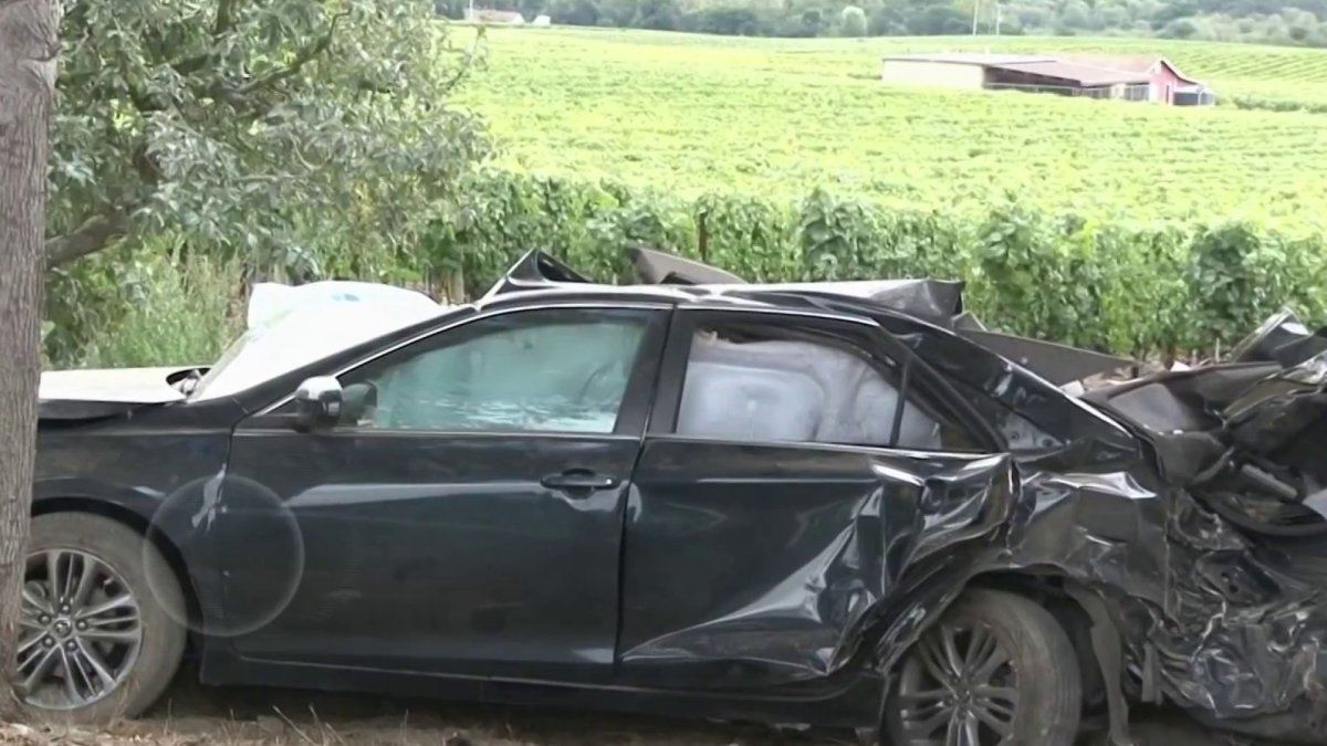 1 killed, 1 injured in Sonoma County after car crashes into tree – NBC ...