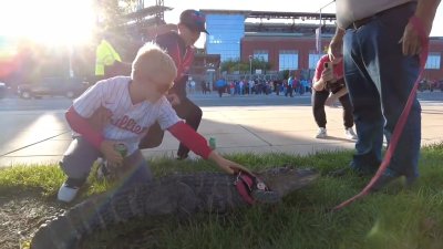 Buffalo Bills player Damar Hamlin is in critical condition after collapsing  in a game - OPB