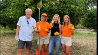 Meet the non-profit feeding thousands while combating food waste