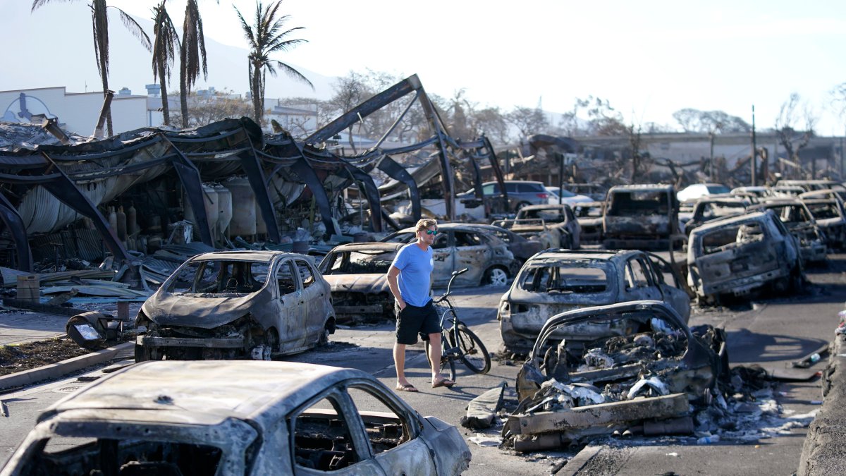 Maui wildfires death toll drops to 97 after DNA testing – NBC Bay Area - Vimarsana News