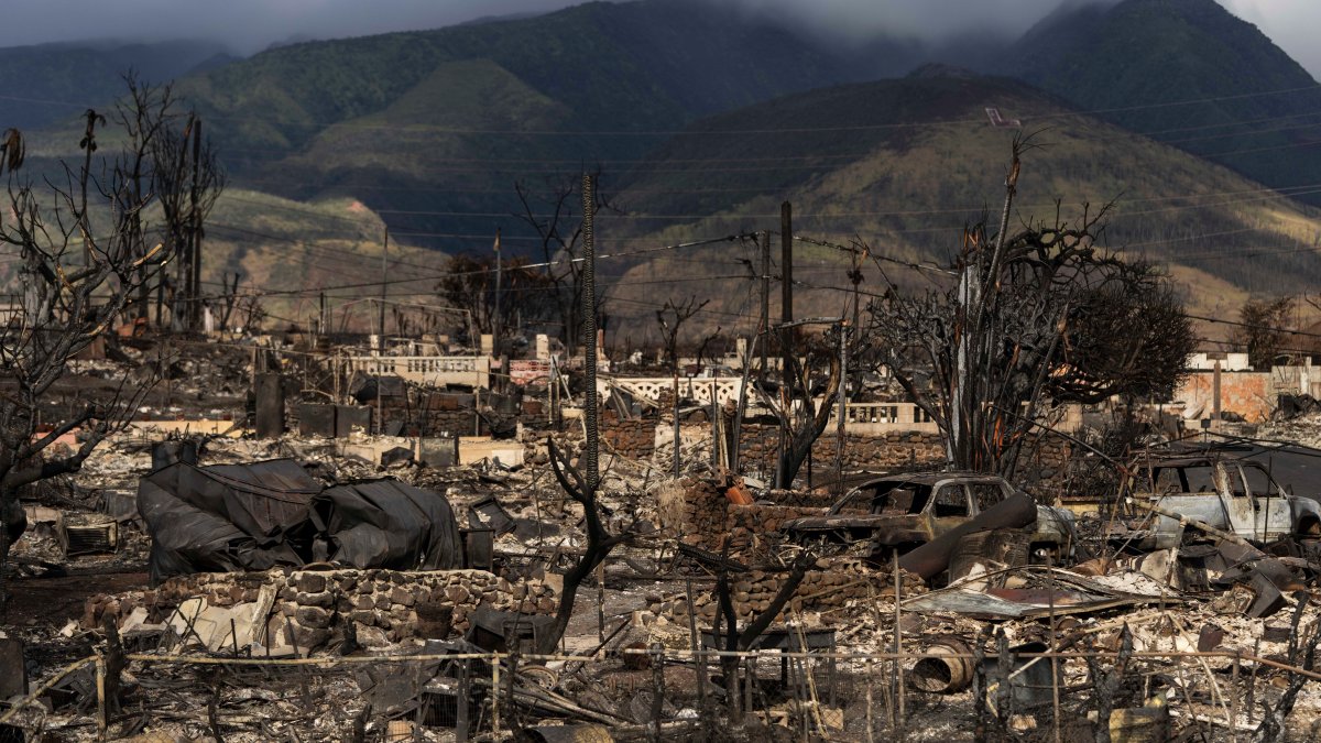 Hawaiian Electric at center of first congressional hearing on Maui wildfires – NBC Bay Area - Vimarsana News