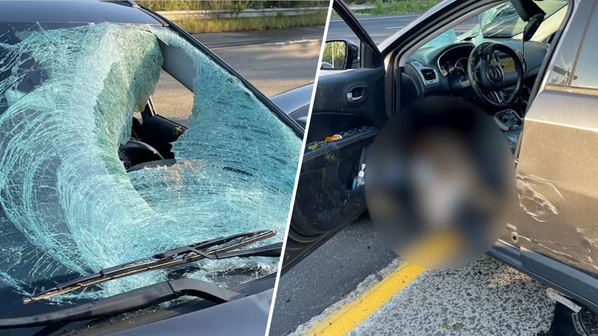 NJ news: Deer leaps through windshield, causing crash on Route 21 in Clifton – NBC Bay Area - Vimarsana News