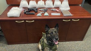 Sonoma County sheriff's K-9 deputy drug bust