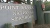 Authorities search for missing person in possible shark attack off Point Reyes