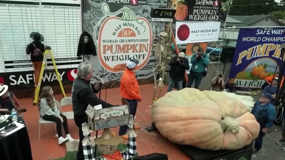 VIDEO: Pumpkin growing champion wins B.C. Giant Pumpkin weigh-off