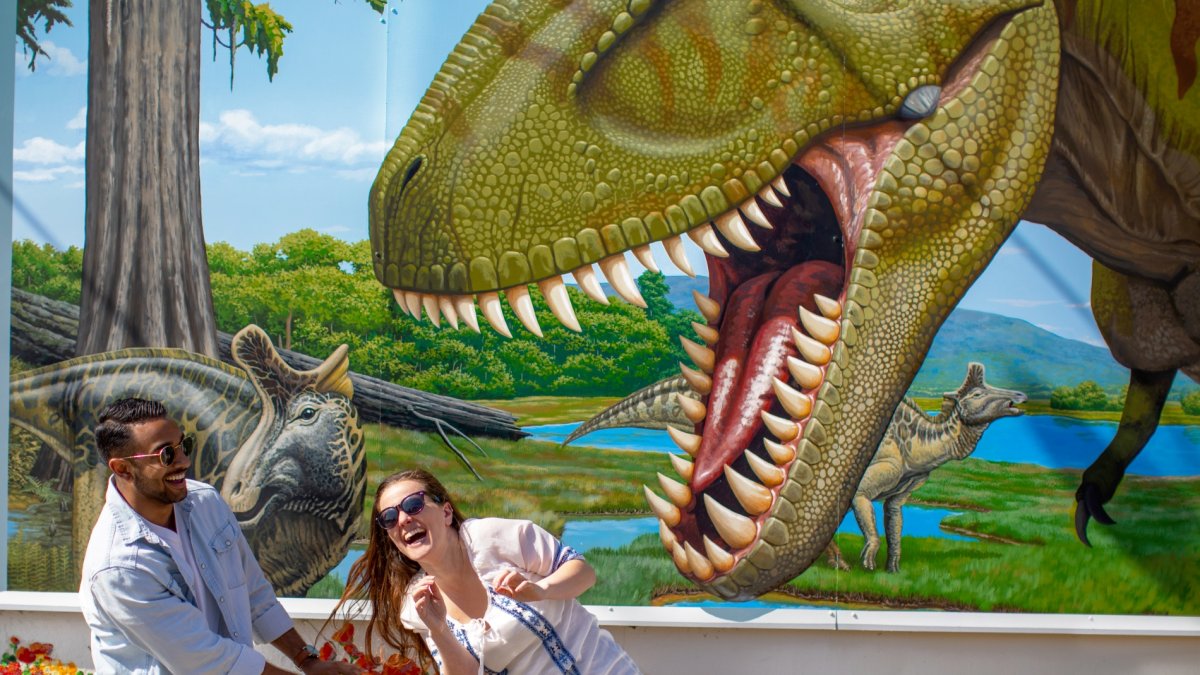Lompoc's lively and lovely murals are free to see and open all year - Vimarsana News