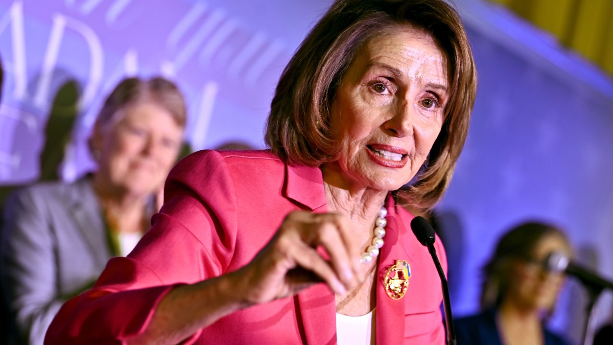 Nancy Pelosi seeks FBI probe into protesters calling for a cease-fire ...