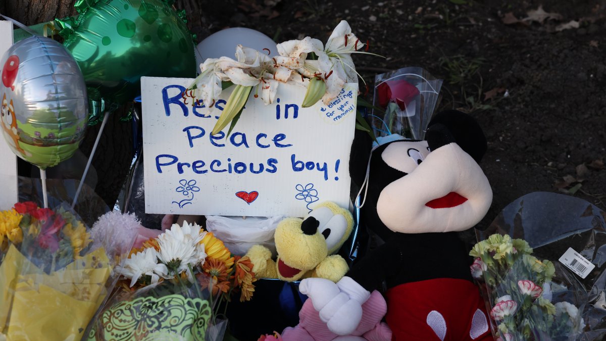 Illinois man pleads not guilty to hate crime, murder charges in ...
