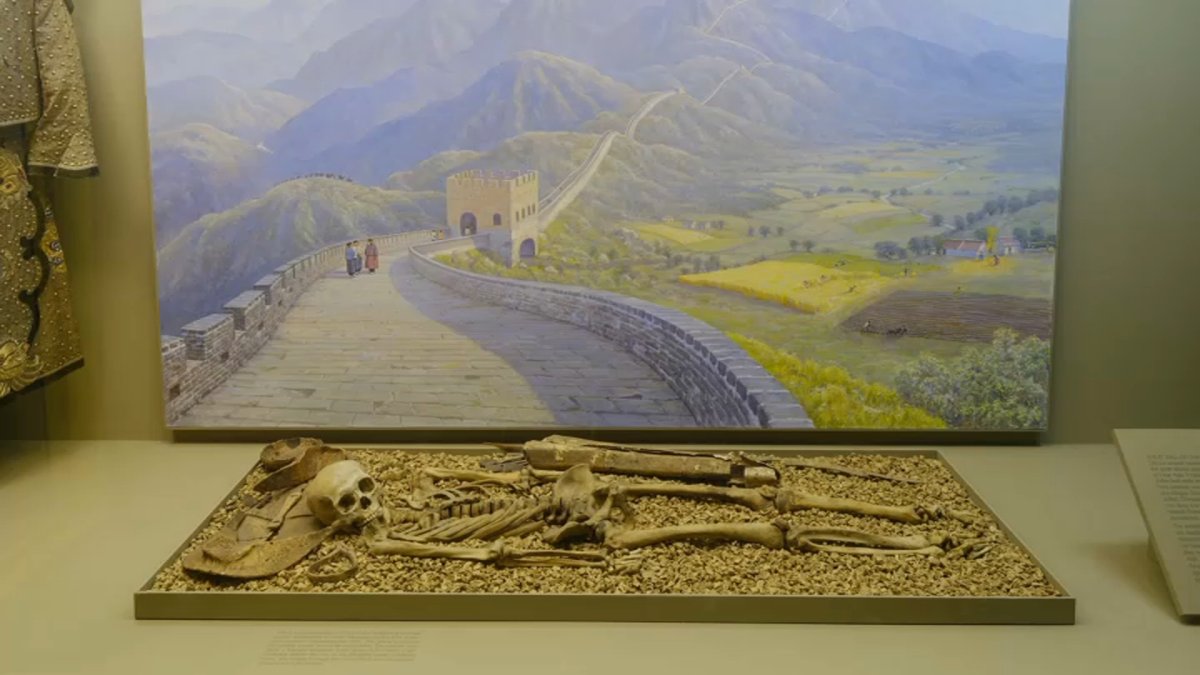 Museum of Natural History in NYC to remove human remains from some displays – NBC Bay Area - Vimarsana News