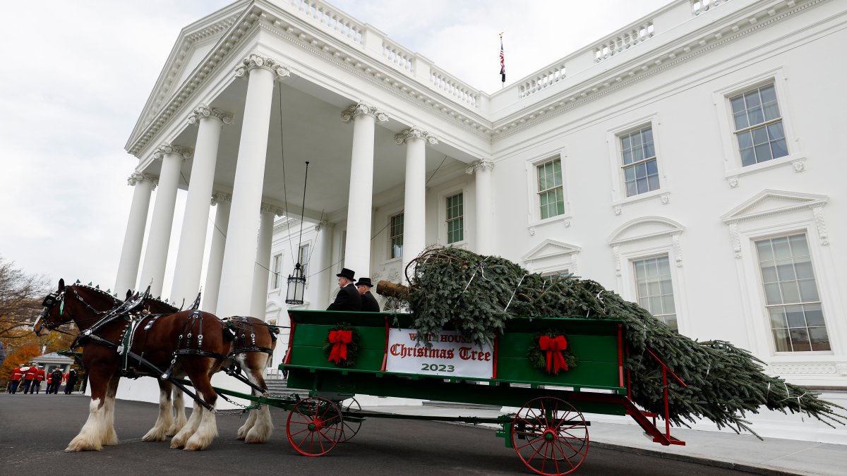 See the 2023 White House holiday decorations – NBC Bay Area - Vimarsana News