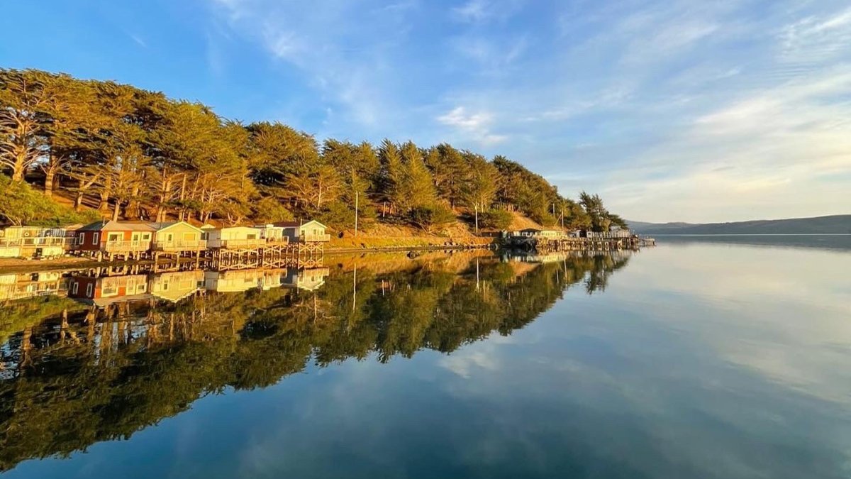 Nick's Cove, a Tomales Bay treasure, is seeking its 2024 Artists in Residence - Vimarsana News