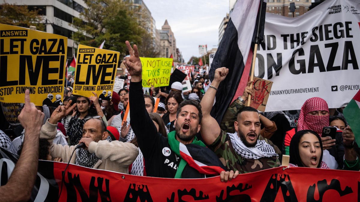 Protest marches from US to Berlin call for immediate halt to Israeli bombing of Gaza - Vimarsana News